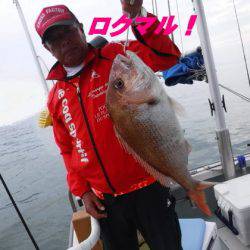 遊漁船 幸友丸 釣果