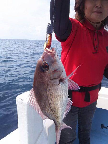 海晴丸 釣果