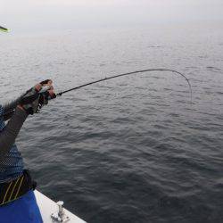 BlueNote Fishing Taxi 釣果