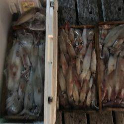 寿裕 （YOSHIHIRO） 釣果