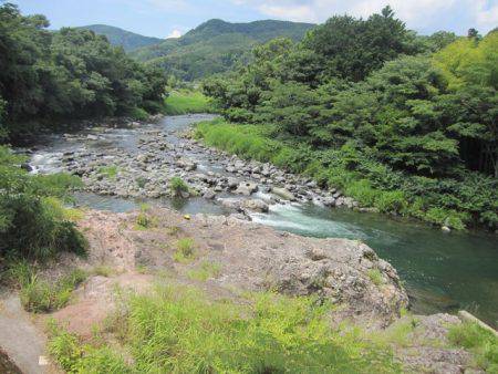 狩野川(狩野川漁業協同組合) 釣果