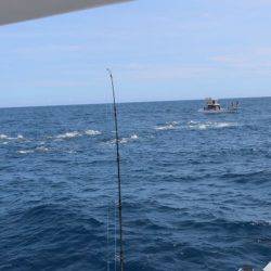 へいみつ丸 釣果