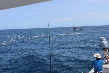 へいみつ丸 釣果