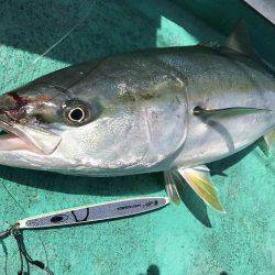 広進丸 釣果
