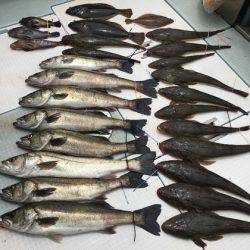 ふじしめ丸 釣果