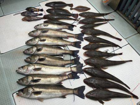 ふじしめ丸 釣果