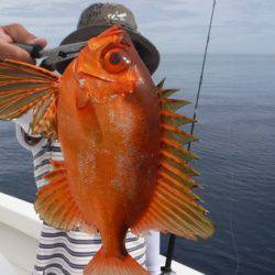 BlueNote Fishing Taxi 釣果