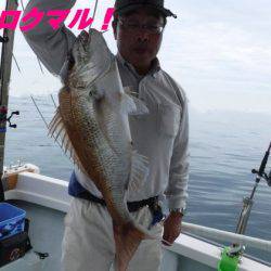 遊漁船 幸友丸 釣果