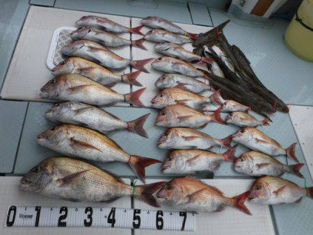 遊漁船 幸友丸 釣果