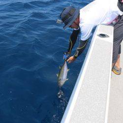 へいみつ丸 釣果