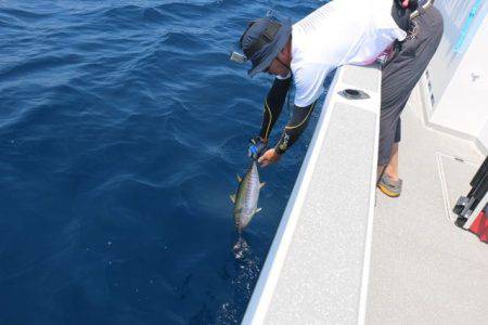 へいみつ丸 釣果