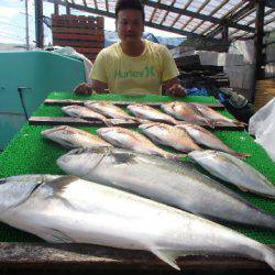 カタタのつり堀 釣果
