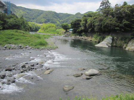 狩野川(狩野川漁業協同組合) 釣果