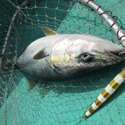 広進丸 釣果