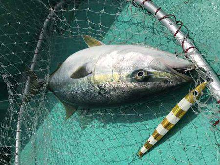 広進丸 釣果