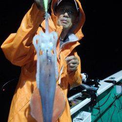 第二むつ漁丸 釣果