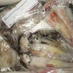 寿裕 （YOSHIHIRO） 釣果