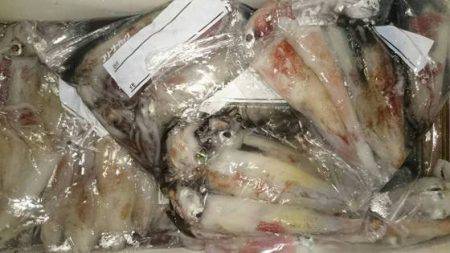 寿裕 （YOSHIHIRO） 釣果