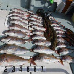 遊漁船 幸友丸 釣果