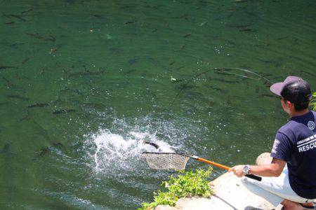 小菅トラウトガーデン 釣果