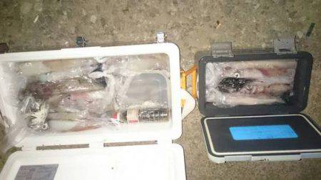 寿裕 （YOSHIHIRO） 釣果