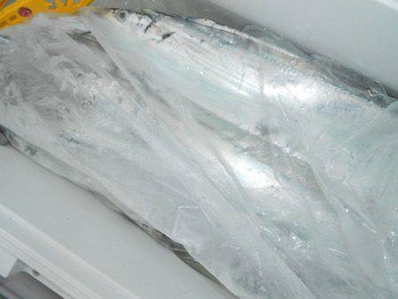 こうゆう丸 釣果