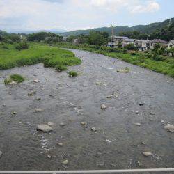 狩野川(狩野川漁業協同組合) 釣果