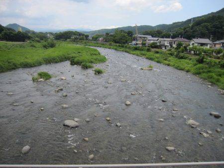 狩野川(狩野川漁業協同組合) 釣果