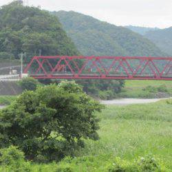 狩野川(狩野川漁業協同組合) 釣果