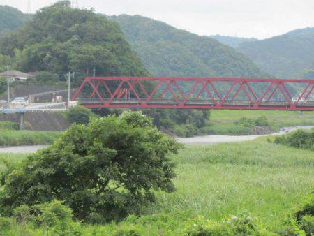 狩野川（狩野川漁業協同組合） 釣果