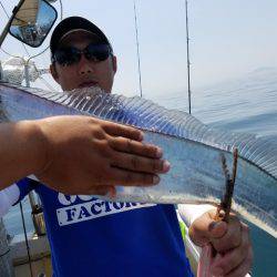 遊漁船　ニライカナイ 釣果