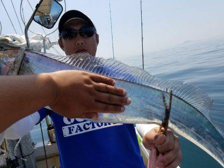 遊漁船　ニライカナイ 釣果