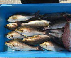 おざき丸 釣果