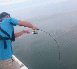 IDATEN(イダテン) 釣果