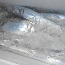 こうゆう丸 釣果