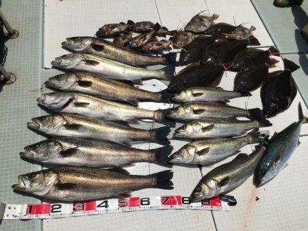 ふじしめ丸 釣果