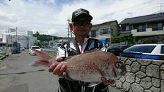 まこと渡船 釣果