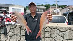 まこと渡船 釣果