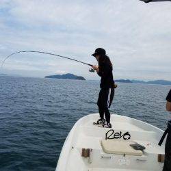 Magic(マジック) 釣果