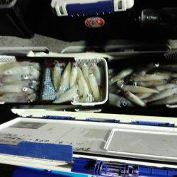 第二大福丸 釣果