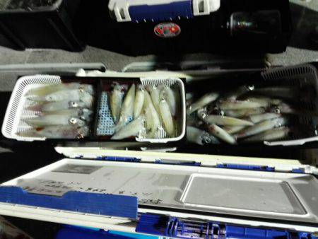 第二大福丸 釣果