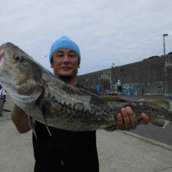 大進丸(新潟) 釣果