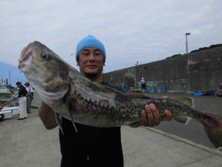 大進丸（新潟） 釣果