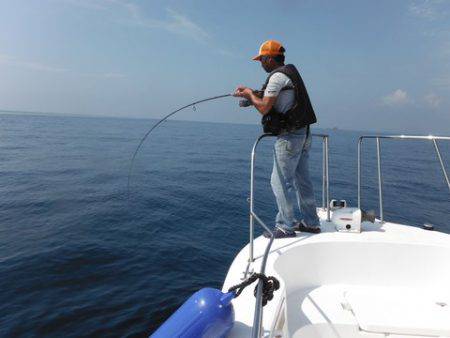 開進丸 釣果
