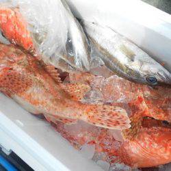 こうゆう丸 釣果