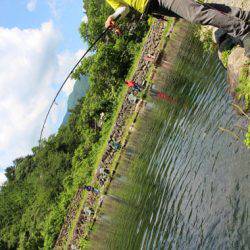 小菅トラウトガーデン 釣果