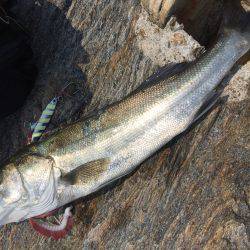 大村湾西部ショアスロー