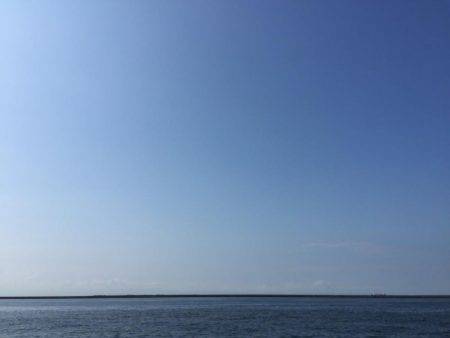 ツバス諦めてタコ