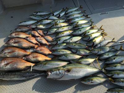 ミタチ丸 釣果