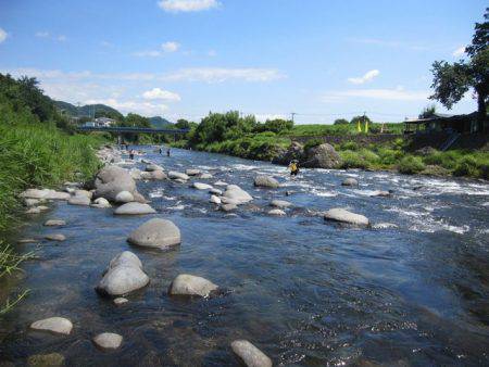狩野川(狩野川漁業協同組合) 釣果
